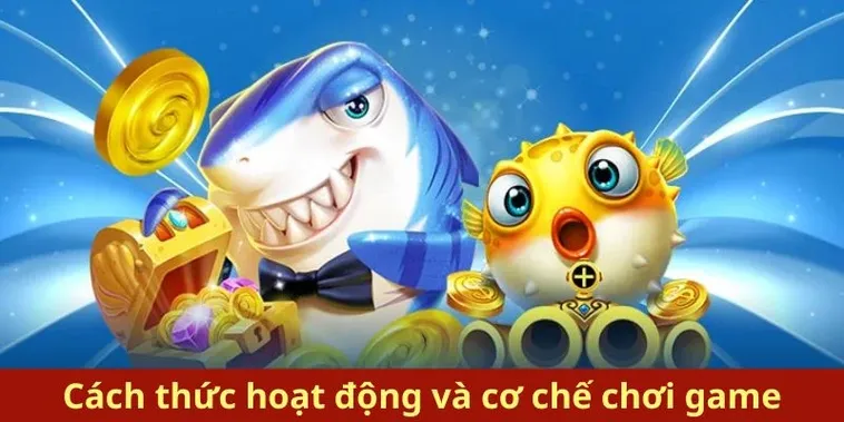 Cách Chơi Bắn Cá Royal Fishing Tại Luck8 Hấp Dẫn Nhất 2025