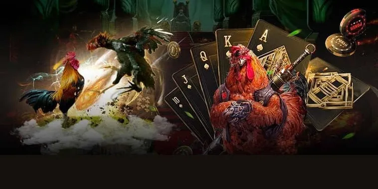 Hướng Dẫn Cách Chơi Đá Gà 3D Tại Luck8 Hấp Dẫn Nhất