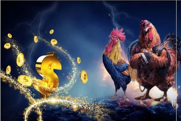 Hướng Dẫn Chơi Đá Gà WS168 Tại Luck8 Thắng Lớn Dễ Dàng