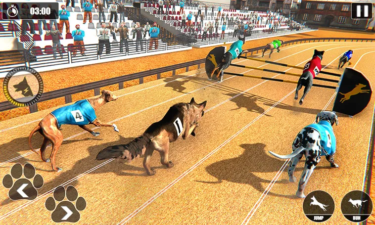 Cách Chơi Game Nhanh Đua Chó Tại Luck8 Thắng Lớn Mỗi Ngày