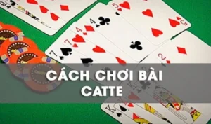 Cách Chơi Sắc Tê Nhà Cái Luck8 Thắng Đậm Cho Tân Thủ